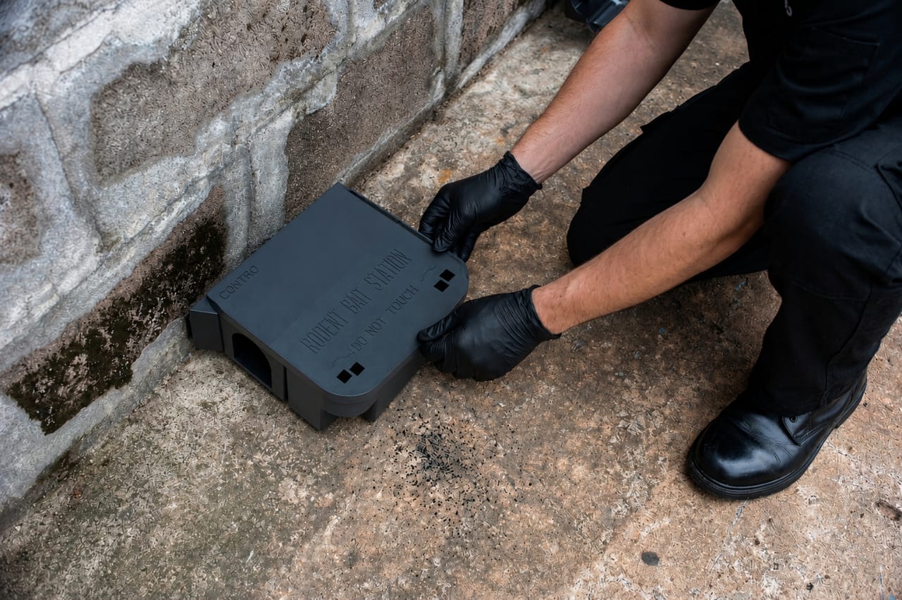 Rodent Control
